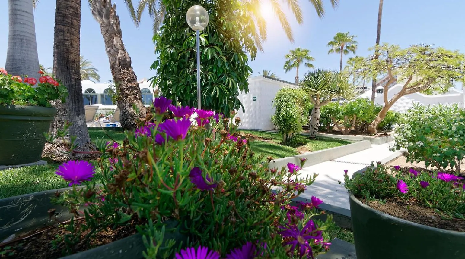 Bungalow Hotel Parque Del Paraiso II 플라야 델 잉글스 스페인