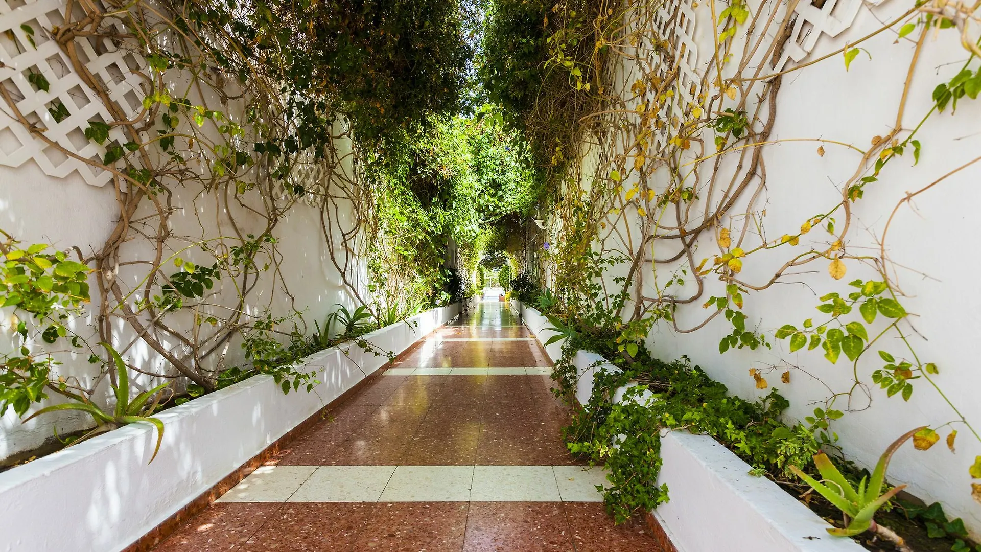 Bungalow Hotel Parque Del Paraiso II 플라야 델 잉글스 스페인